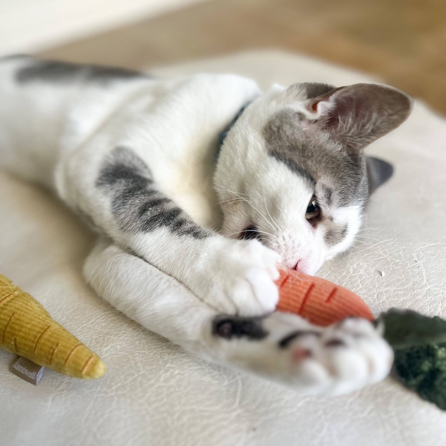 Catnip carrot toy