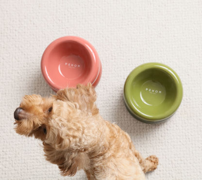 gamelle-chiens-bordeaux-nugget-conceptstore