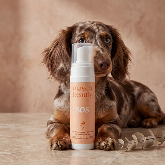 Shampoing sec en mousse pour chiens sans rinçage