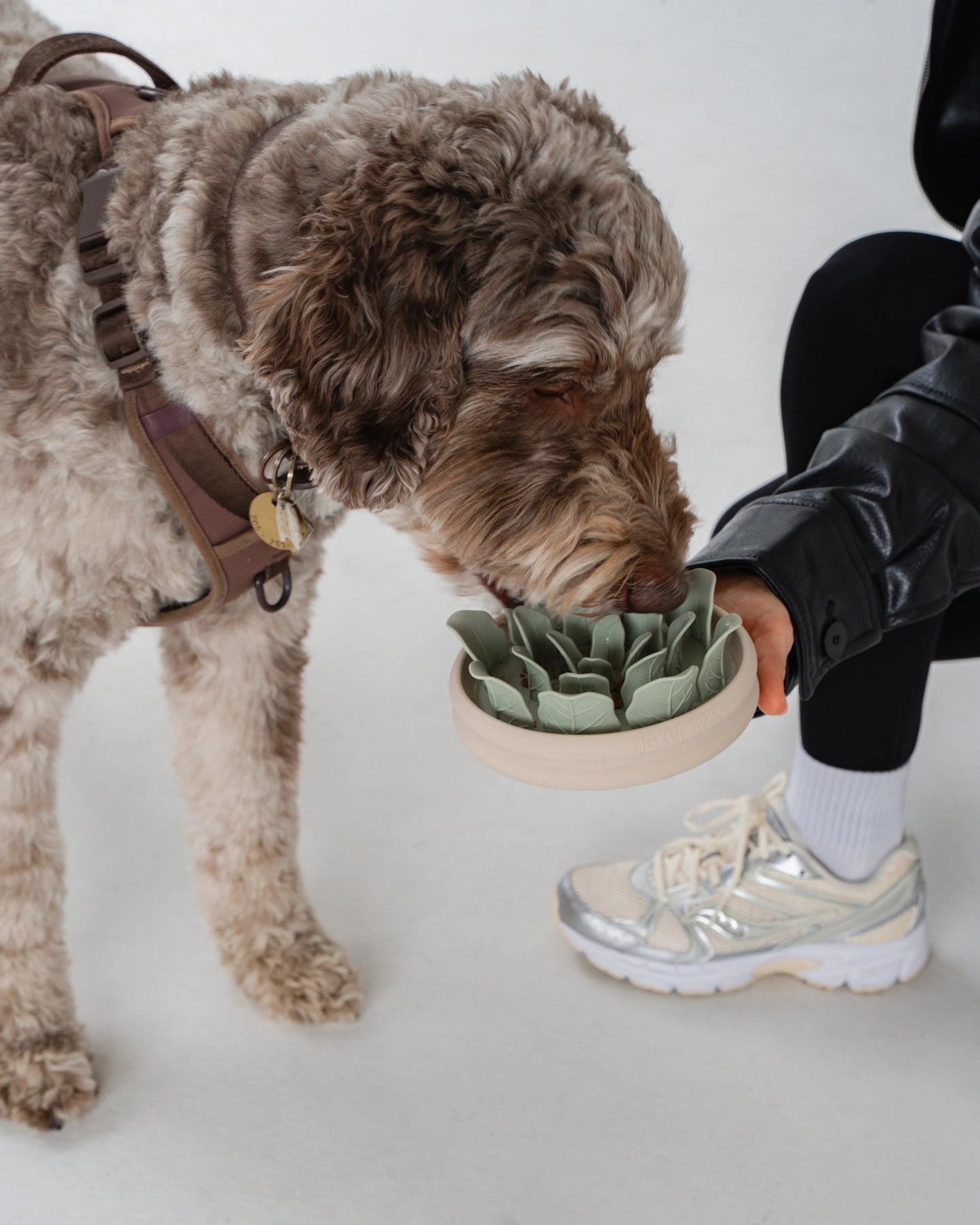 Gamelle anti-glouton