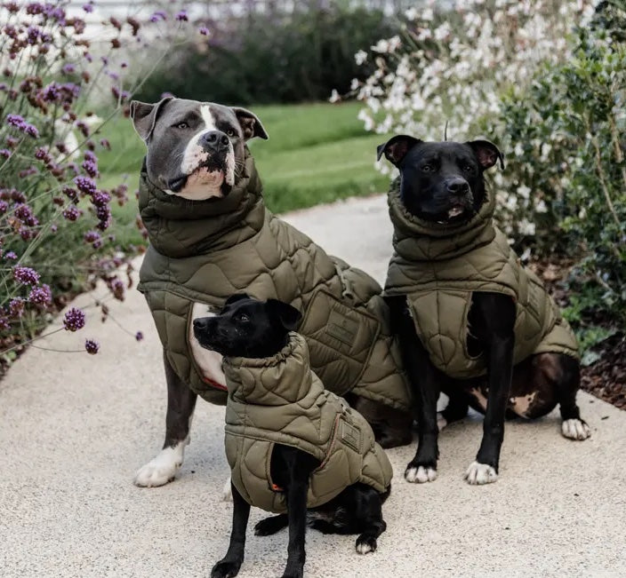 Khaki dog down jacket