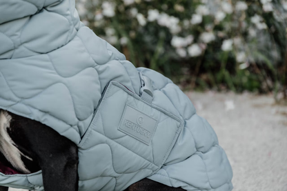 Doudoune pour chien Bleu