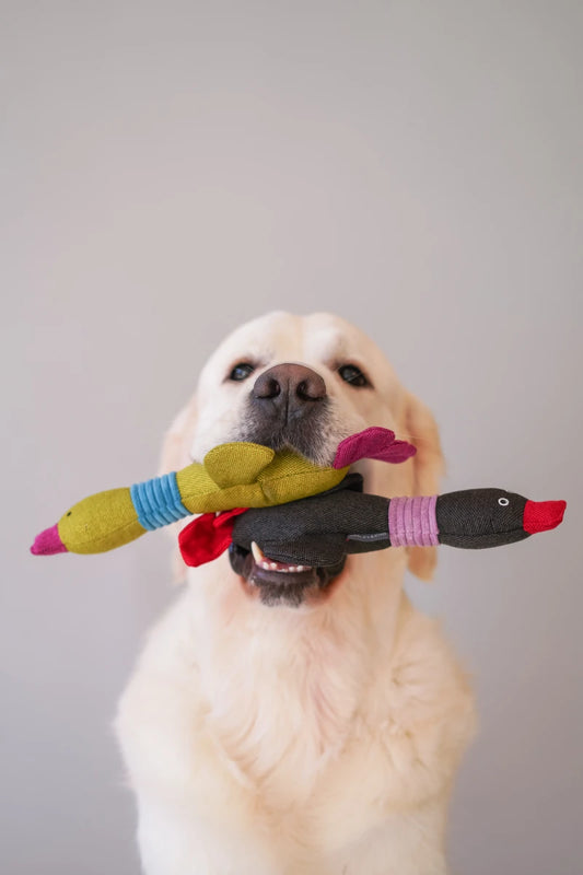 Green and pink duck plush toy