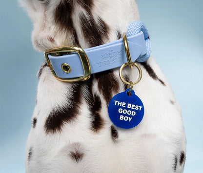 Médaille The best good boy