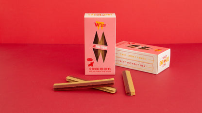 Stick dentaire vegan