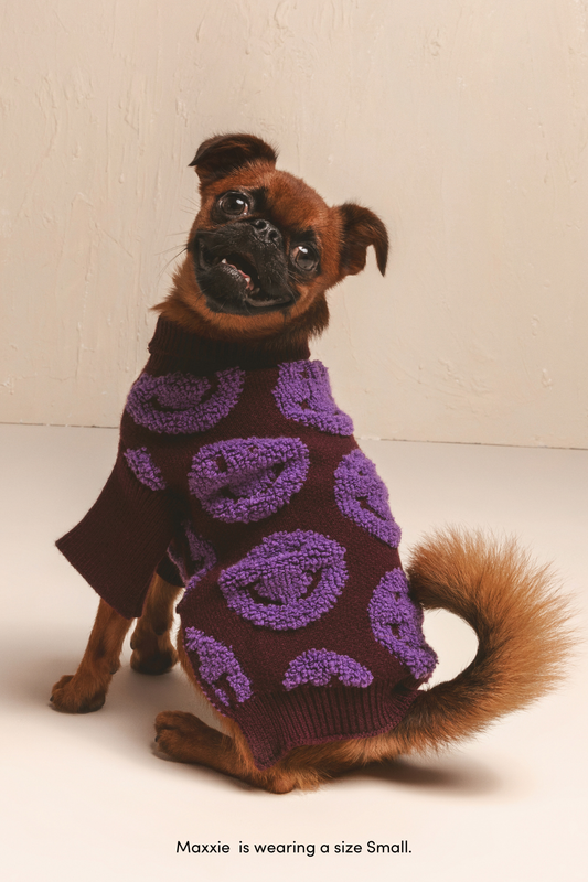 Brown and lilac Smiley sweater