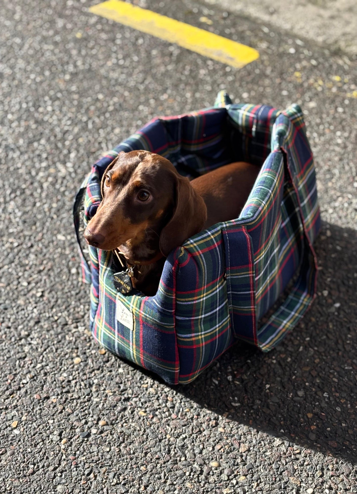 Blue tartan carrying bag
