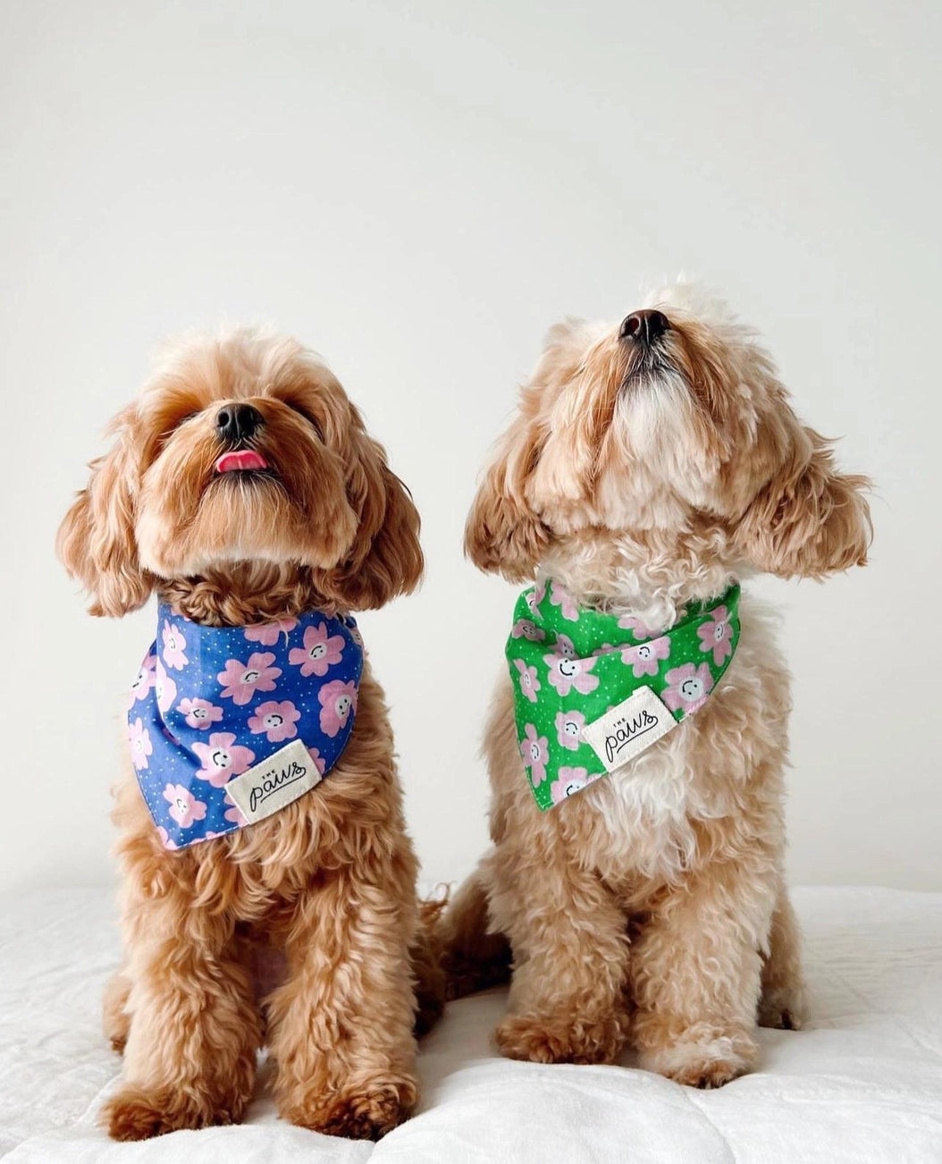 Purple flower bandana