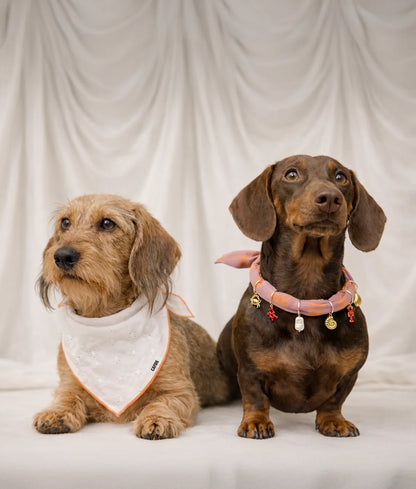 White and red embroidered bandana