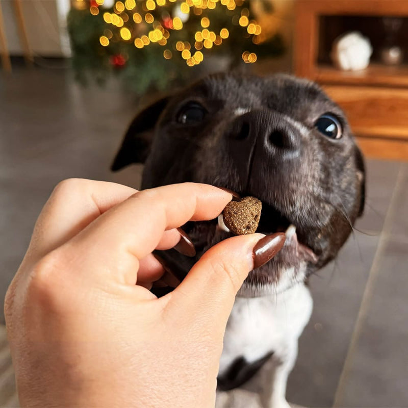 Dog dental treats