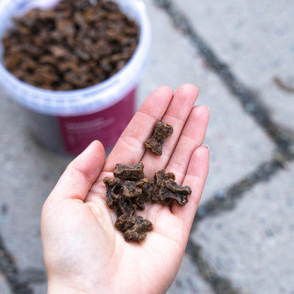 Friandises d'éducation au cerf