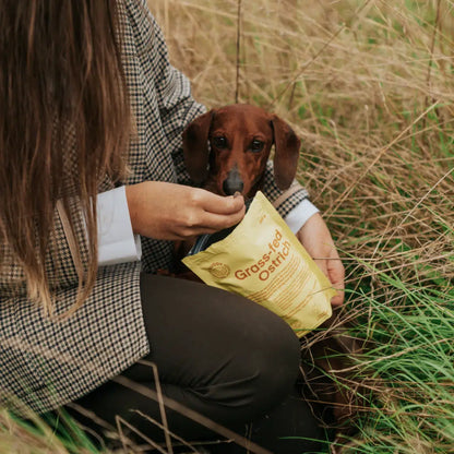 Natural ostrich treats