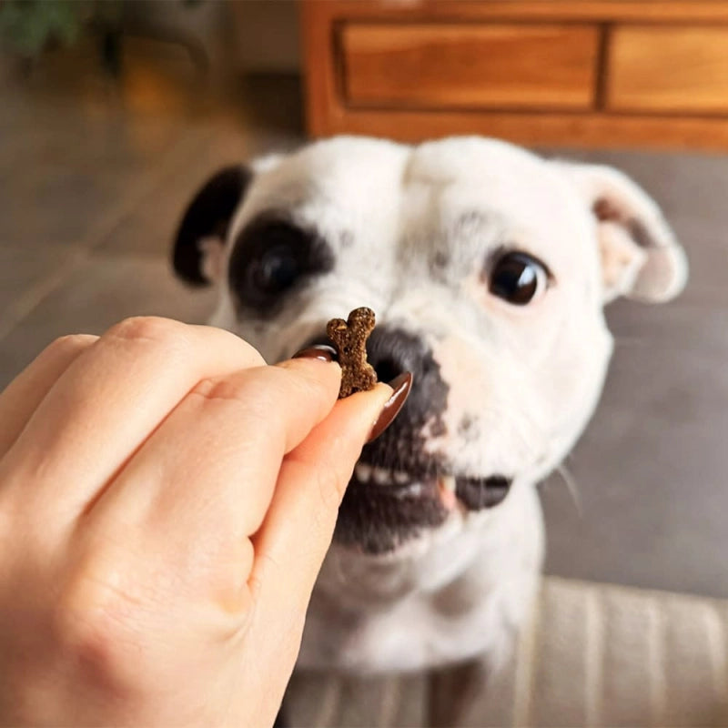 Friandises relaxantes