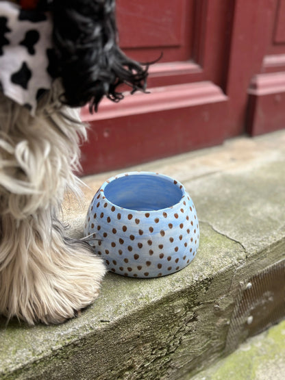 Ceramic Cocker Spaniel Bowl - Blue Dots