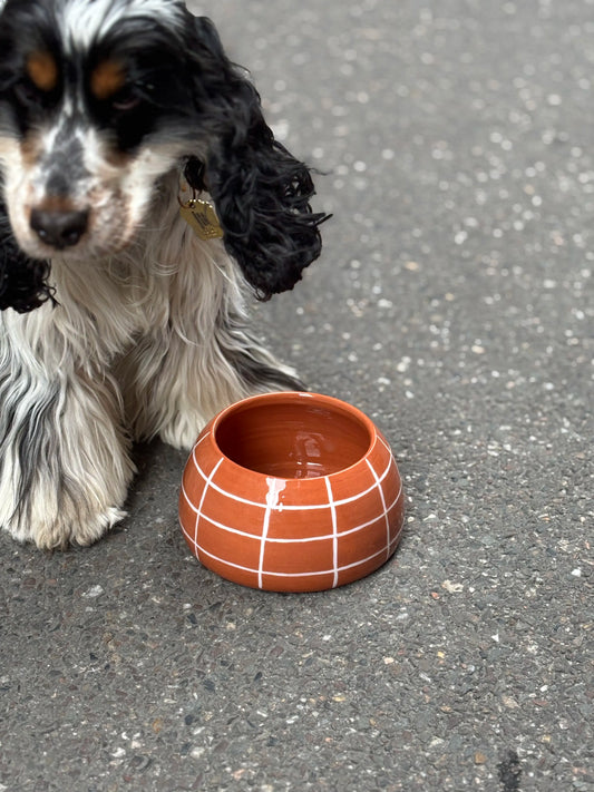 Gamelle cocker en céramique