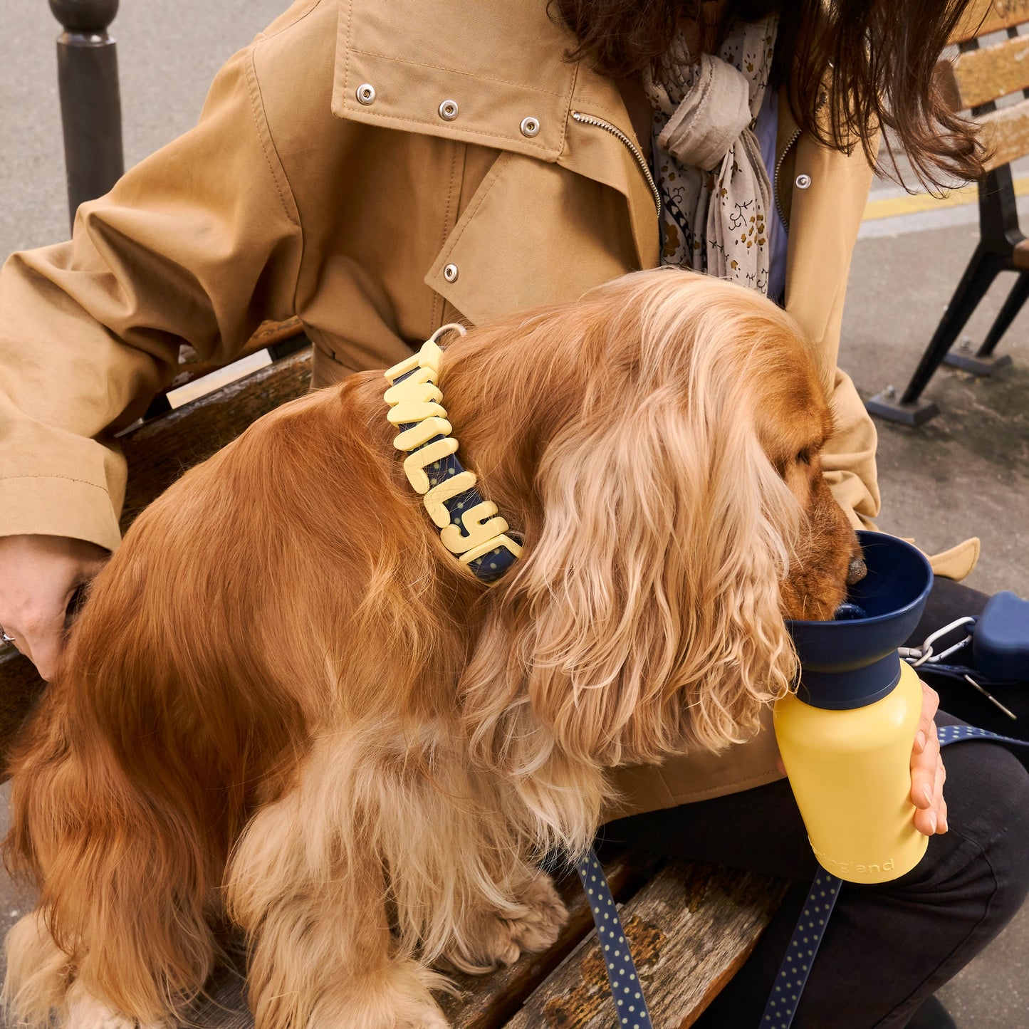 Gourde pour chien Jaune et Bleu
