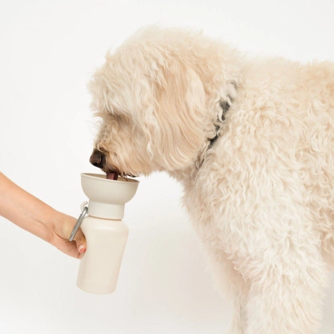 Coffret gourde + distributeur à friandises Crème