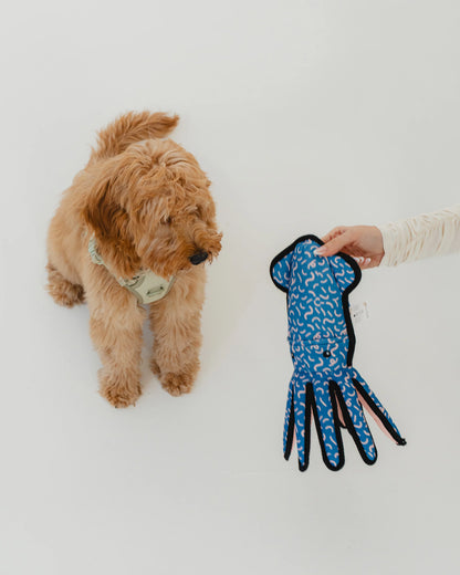 Jouet calamar résistant