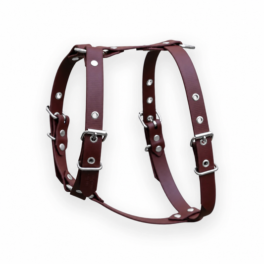 Harnais biothane Saddle