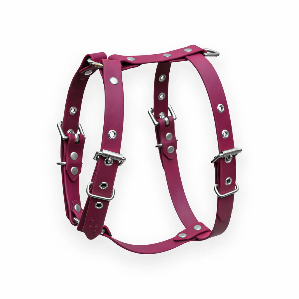 harnais-bordeaux-biothane