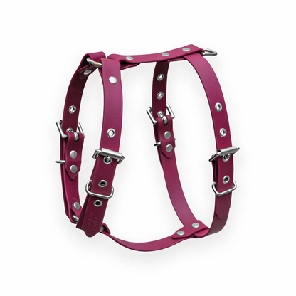 harnais-bordeaux-biothane