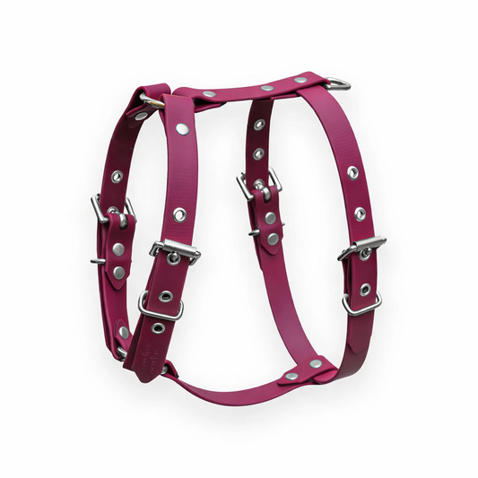 harnais-bordeaux-biothane