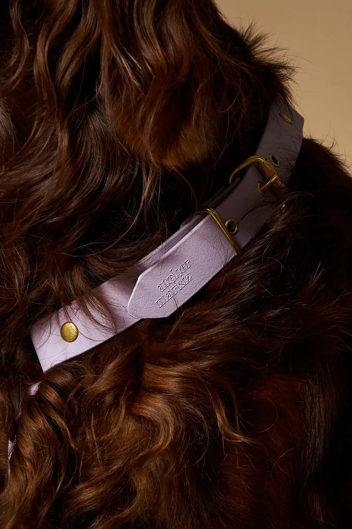 Lilac biothane harness