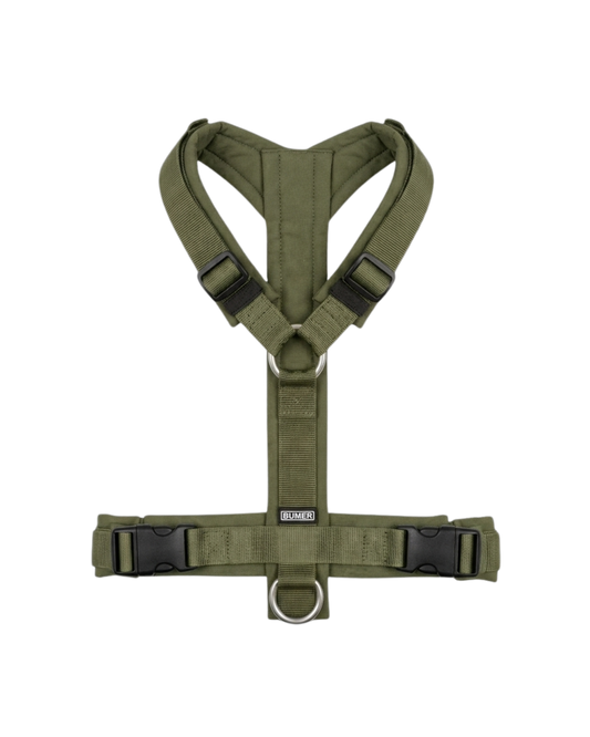 Khaki harness
