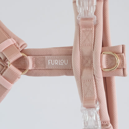 Comfort harness Rose