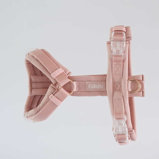 Comfort harness Rose