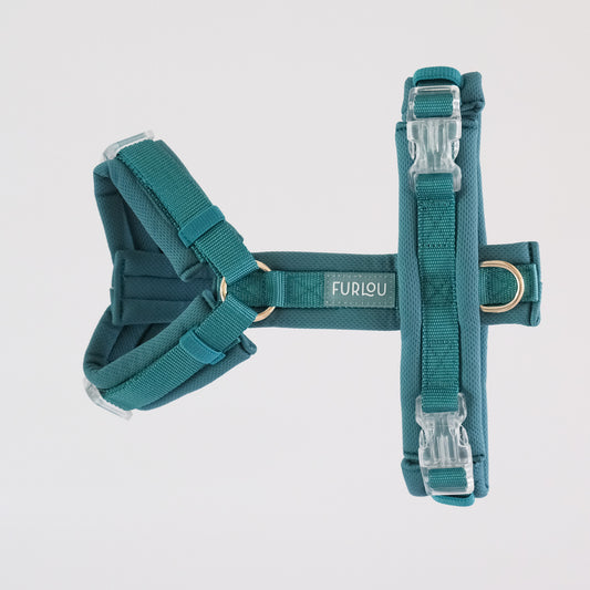 Teal Comfort Harness