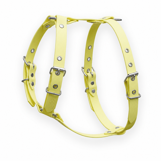 Harnais biothane Jaune