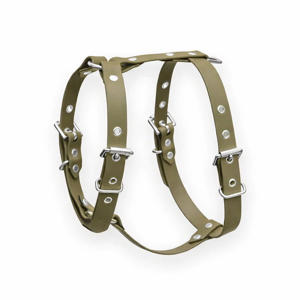 Harnais biothane Olive