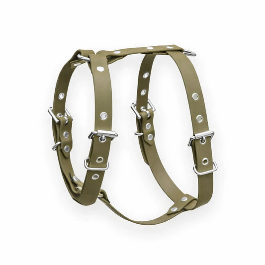 Harnais biothane Olive