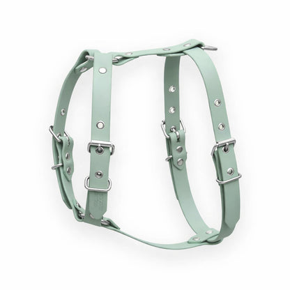 Harnais biothane Vert sauge