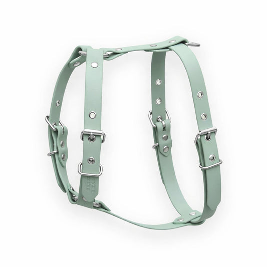 Harnais biothane Vert sauge