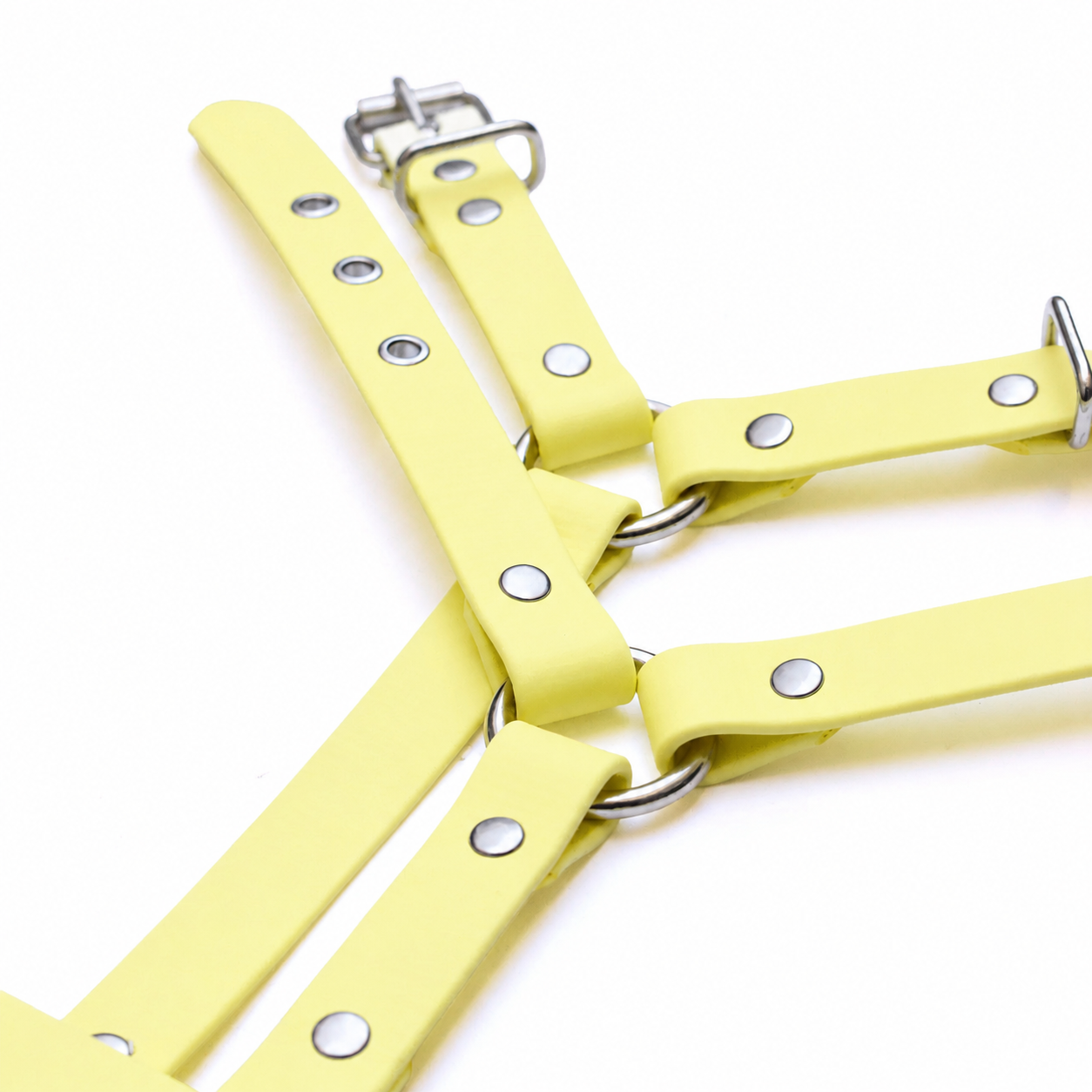 Harnais biothane Jaune