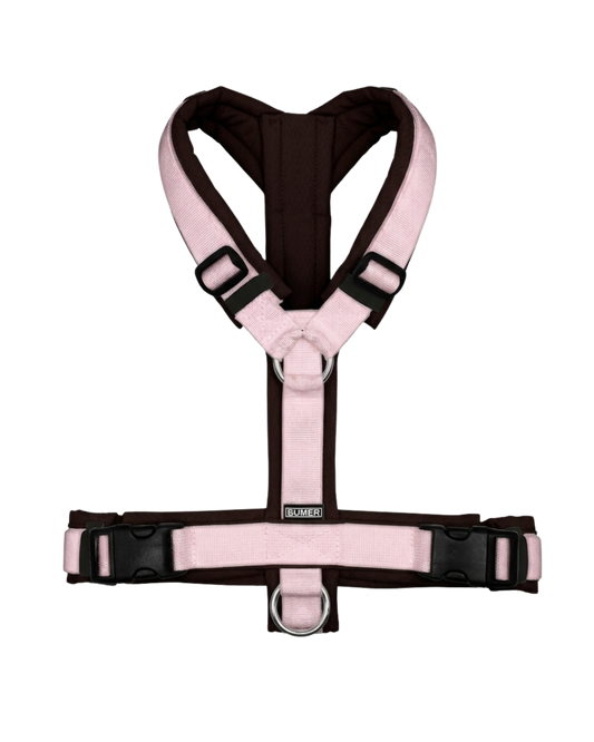 Pink and chocolate harness