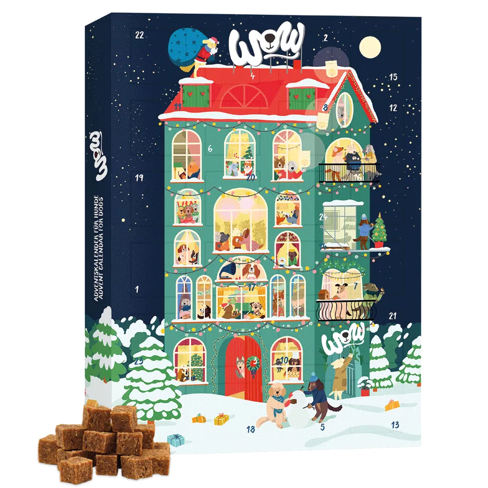 Advent Calendar