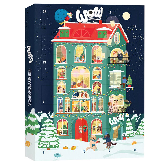 Advent Calendar