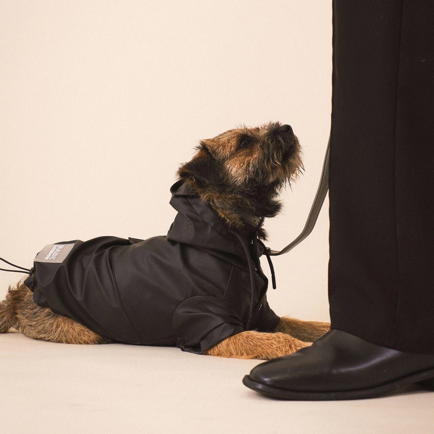 Imperméable pour chien Noir