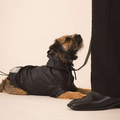 Imperméable pour chien Noir
