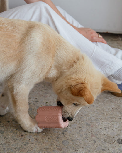 Jouet interactif rose