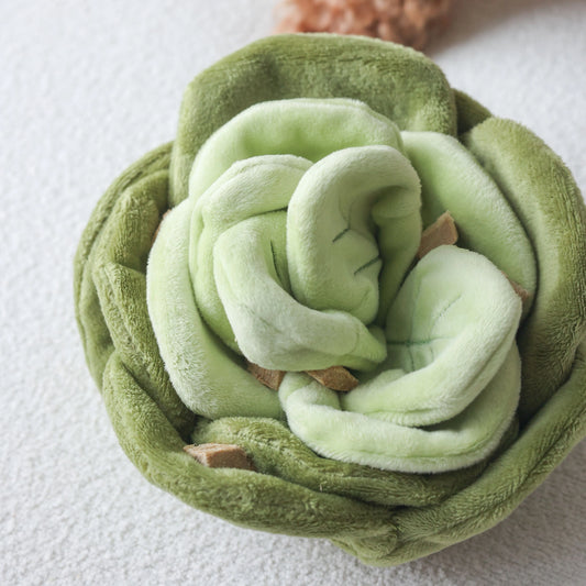 Jouet de fouille salade