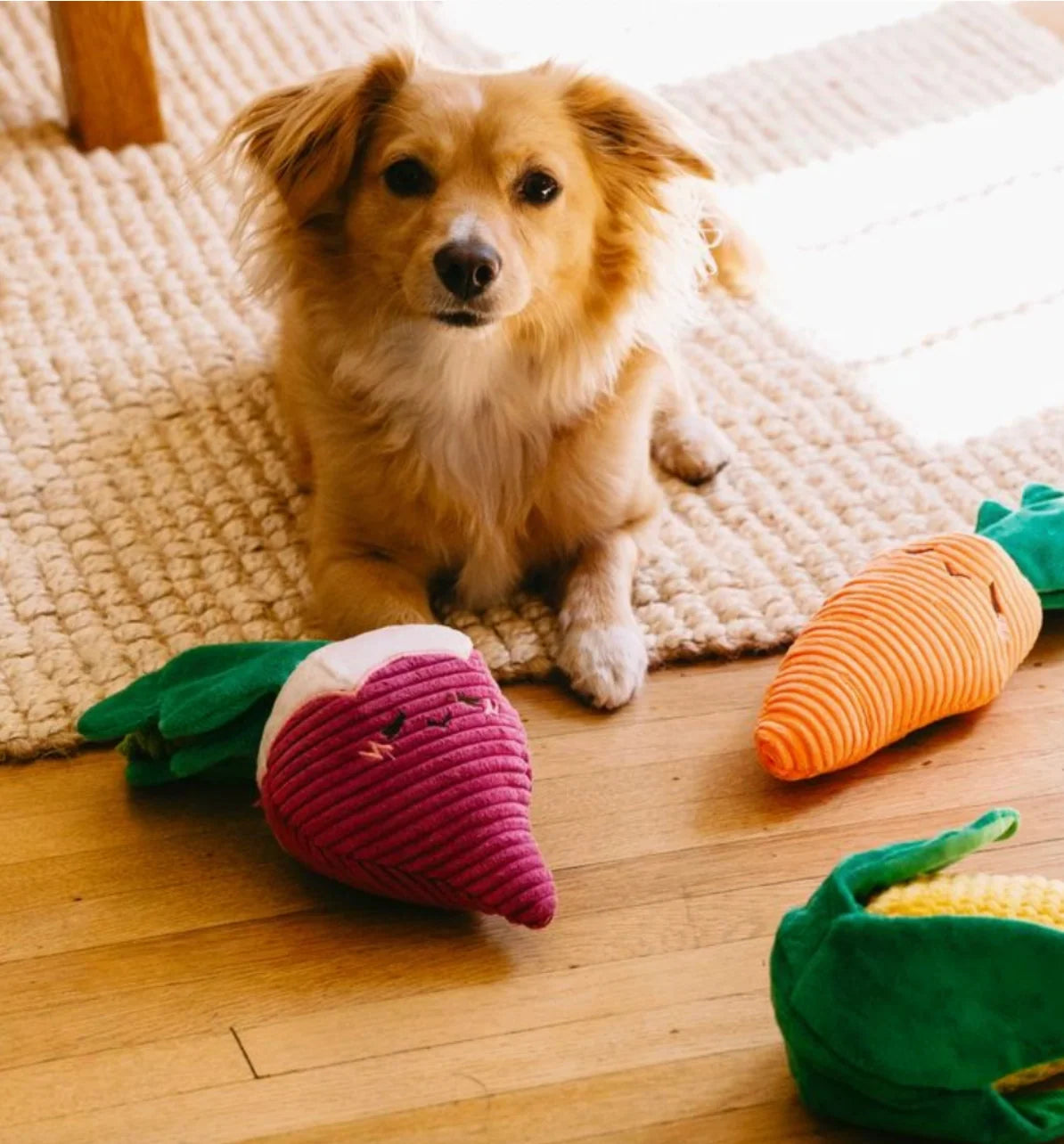 Carrot toy with rope