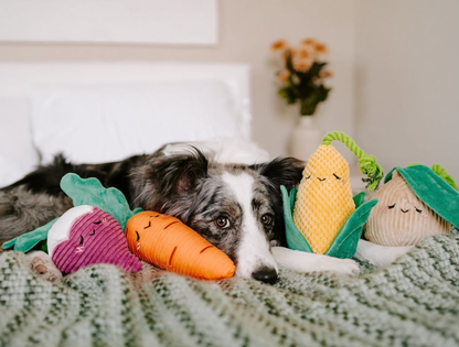 Jouet Oignon avec corde