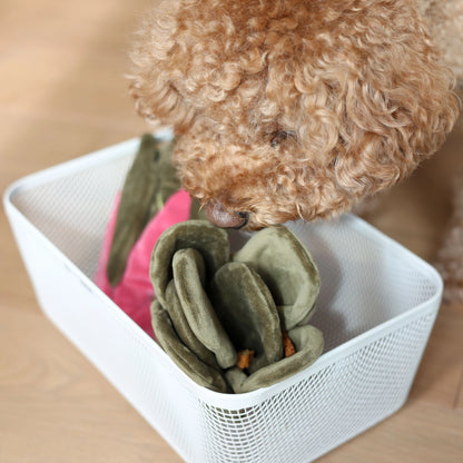 Jouet de fouille Blette