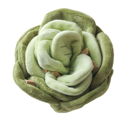Jouet de fouille salade