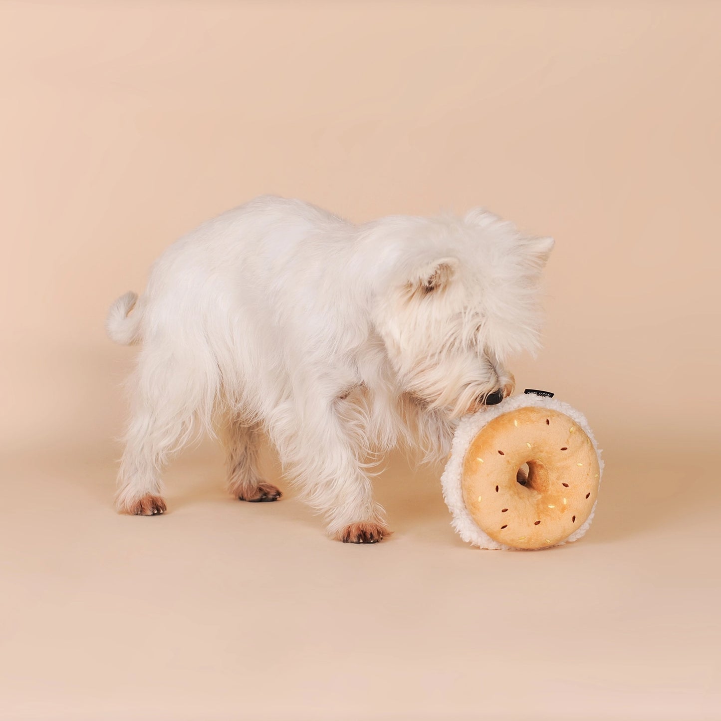 Jouet de fouille bagel