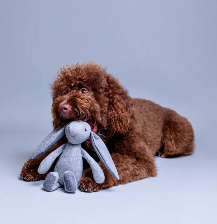 peluche-pour-chien